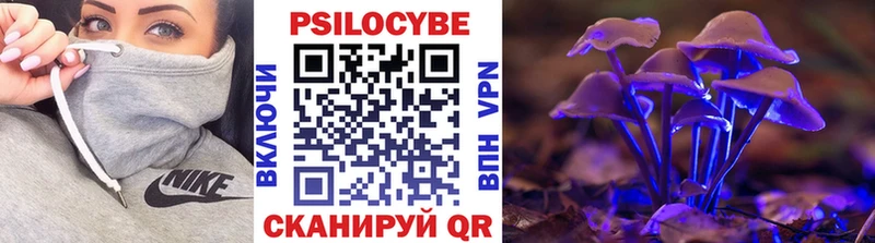 Псилоцибиновые грибы Psilocybe  Александровск-Сахалинский 